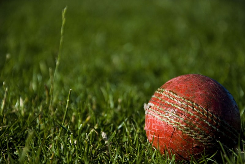 Live Cricket Match Action